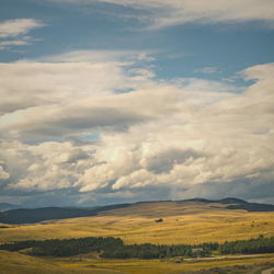 Scenic view of field against sky