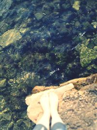 Low section of man on rock at beach