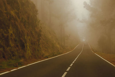 Empty road along trees