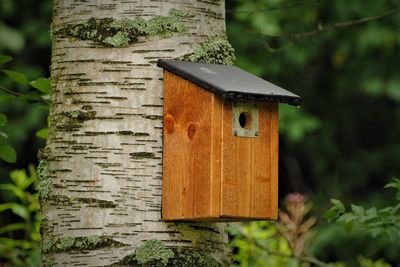 Close-up of birdhouse on tree trunk