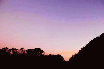 Low angle view of silhouette trees against clear sky