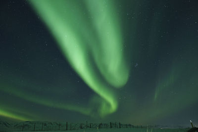 Low angle view of star field against sky of northern lights