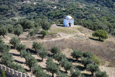 Scenic view of landscape