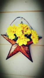 Close-up of yellow flowers