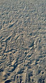 Full frame shot of tiled floor