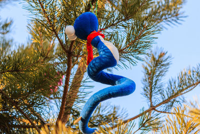 Close-up of bird on branch against blue sky