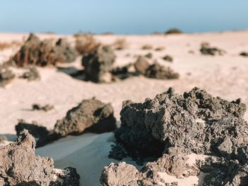 Close-up of rocks on beach against sky