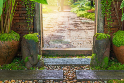 A traditional wooden gateway entrance to garden.