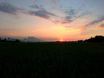 Scenic view of field against sky during sunset