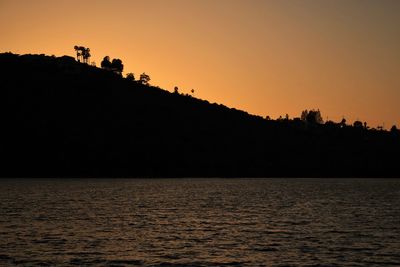 Silhouette of trees at sunset