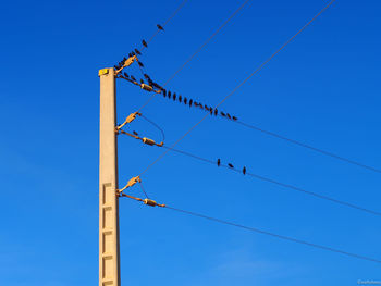 Low angle view of birds perching on power lines against clear blue sky