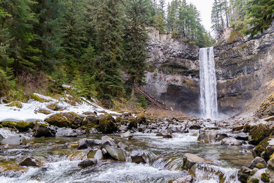 Scenic view of waterfall in forest