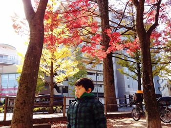 Kid standing by tree against plants during autumn