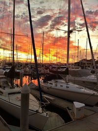Boats in harbor at sunset
