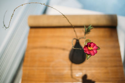 Close-up of pink rose on table