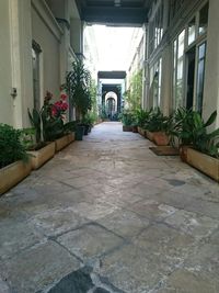 Narrow walkway leading to building