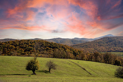 Scenic view of field against sky during sunset