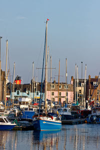 Sailboats moored in harbor