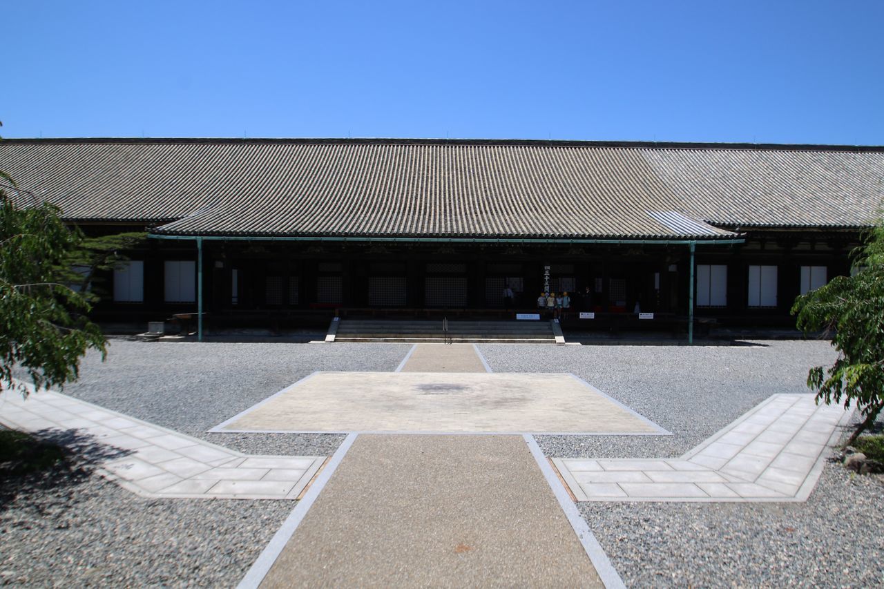 architecture, built structure, clear sky, building exterior, sky, nature, day, building, no people, blue, copy space, plant, direction, empty, roof, outdoors, absence, the way forward, footpath, sunlight, courtyard