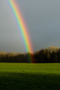 Scenic view of rainbow over trees on field