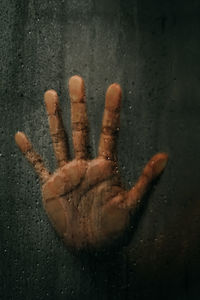 Close-up of human hand on glass