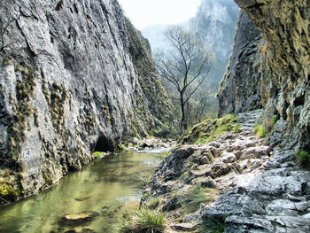 Scenic view of river amidst rocks