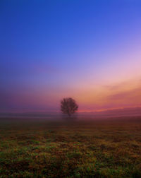 Scenic view of field against sky during sunset
