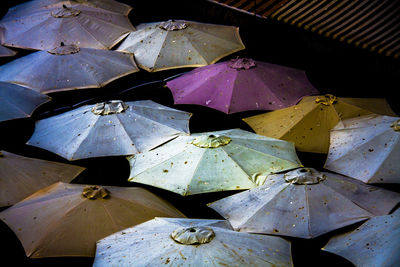 High angle view of spanish umbrellas