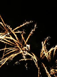 Low angle view of fireworks against sky at night