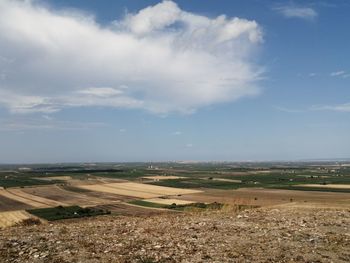 Scenic view of agricultural field against sky