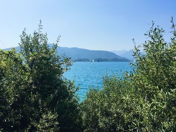 Scenic view of sea against clear blue sky