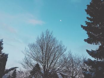 Low angle view of bare trees against sky