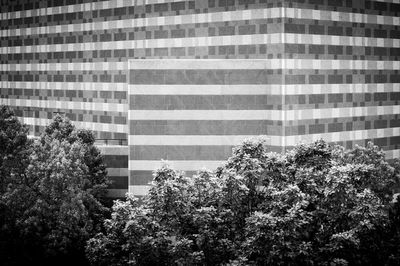 Low angle view of trees and buildings against sky