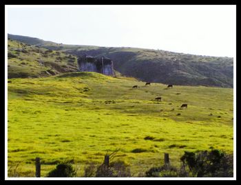 Scenic view of landscape