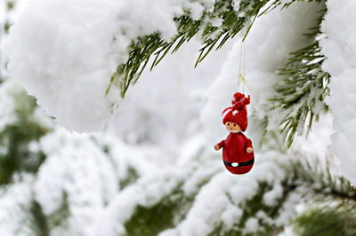 Christmas tree toy red gnome hanging on snow-covered pine branch in winter forest