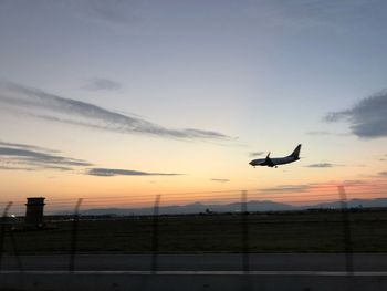 Silhouette of birds flying against sunset sky