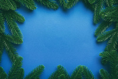 High angle view of palm tree against sky