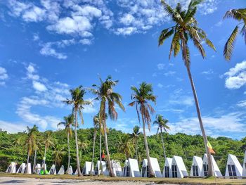 Low angle view of coconut palm trees on beach against sky