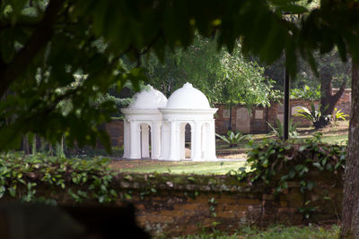 Temple against trees