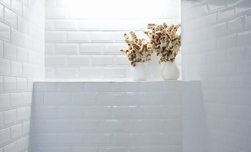 Close-up of white flowers in vase at home