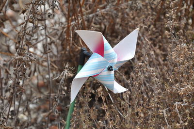 Close-up of pinwheel toy on field