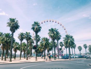 Palm trees against the sky