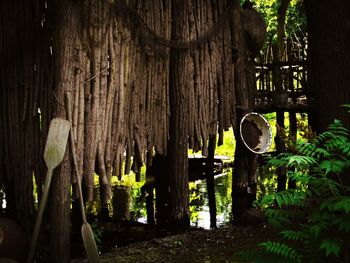 Wooden log on tree trunk