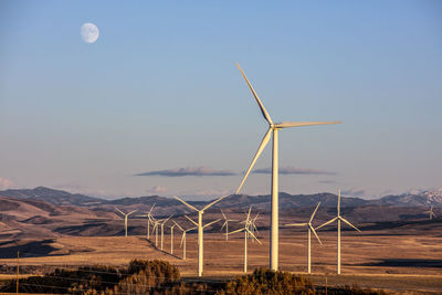 Wind turbines in a field with clear sky and the moon