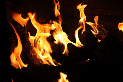 Close-up of bonfire at night