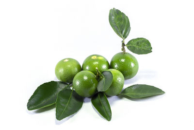 Close-up of fruits against white background