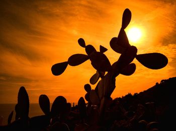 Silhouette cactus against sunset sky