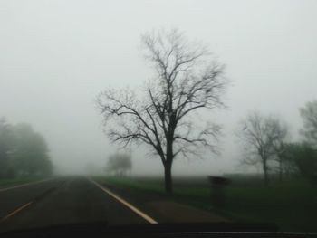 Road passing through forest