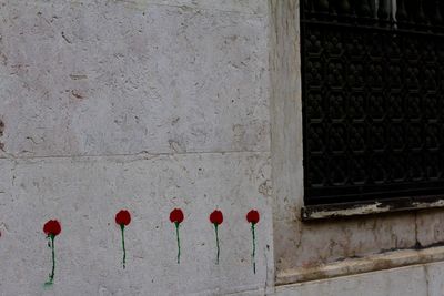 Flowers on wall