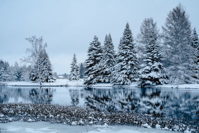 Winter nature in estonia